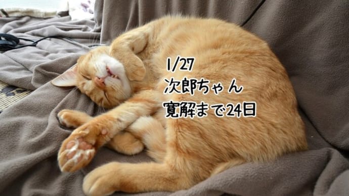 1月27日の次郎ちゃん