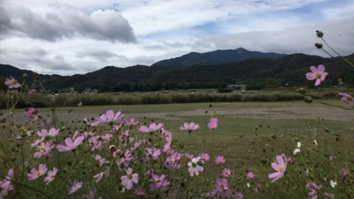 10月28日