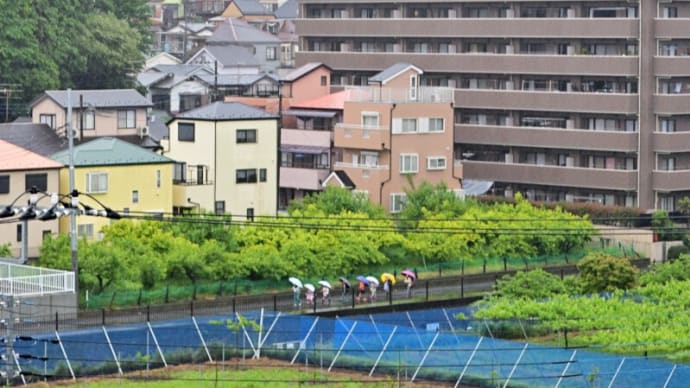 05月08日 雨降り後、気温上がらず。
