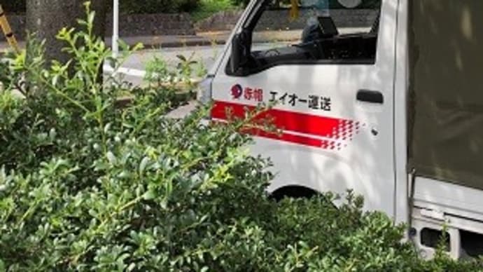 芸術の秋第一弾
