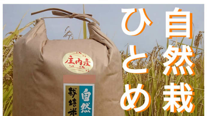 無農薬米を親戚に送付