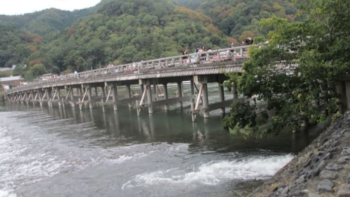 「おはよう日本」のほうが重要です。