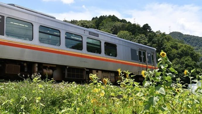 ひまわり と 姫新線電車 '22