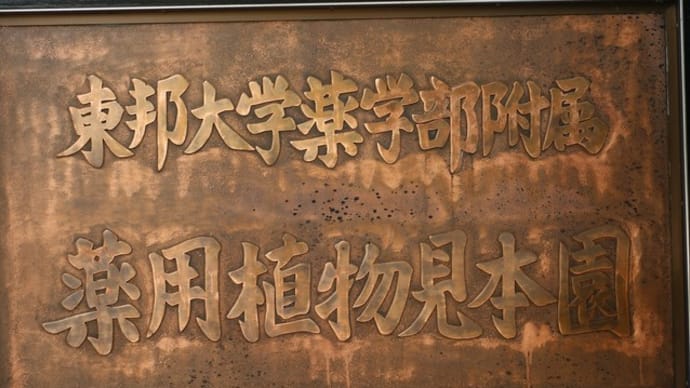 東邦大学薬学部附属薬用植物見本園:船橋市
