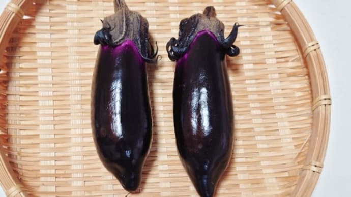 生で食べてもおいしい!!