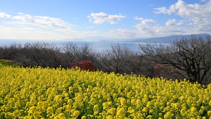 吾妻山から