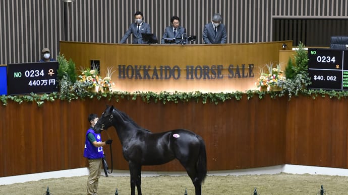 サマーセール出身馬【スマイルミーシャ(Smile Mircha)】が「園田オータムT(3歳重賞)」を優勝
