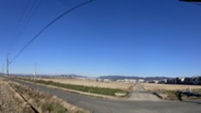 🚶…旧巨椋池埋立農地…観月橋〜 240114