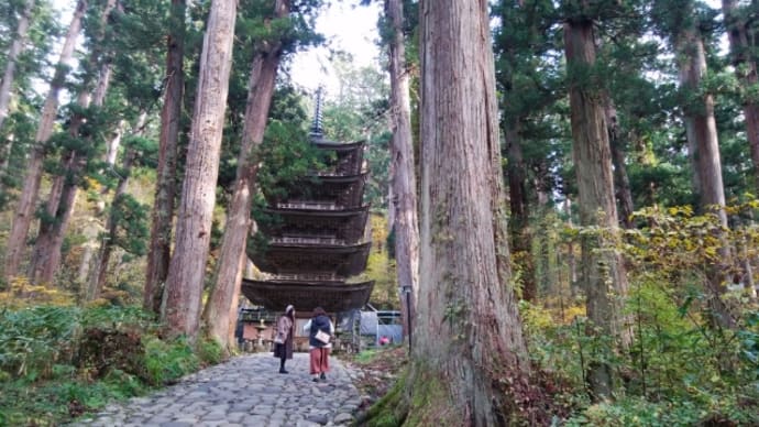 深山に孤高の姿!羽黒山五重塔