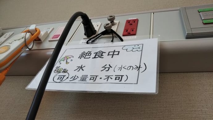 人生初の入院生活