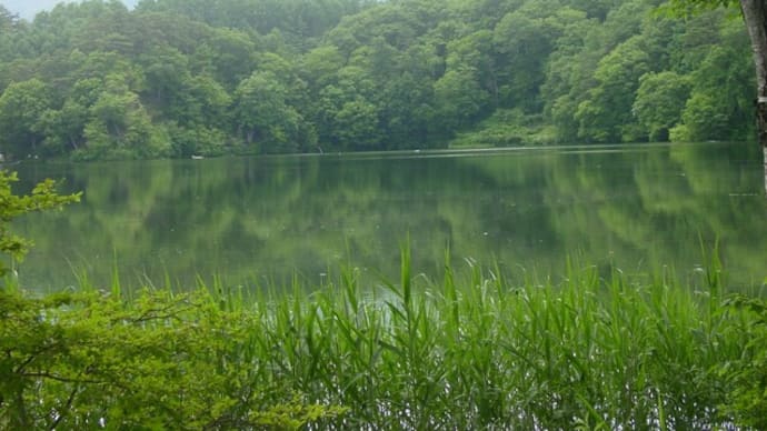 北風小僧の寒太郎を作詞した井出隆夫の出身地「松原湖」