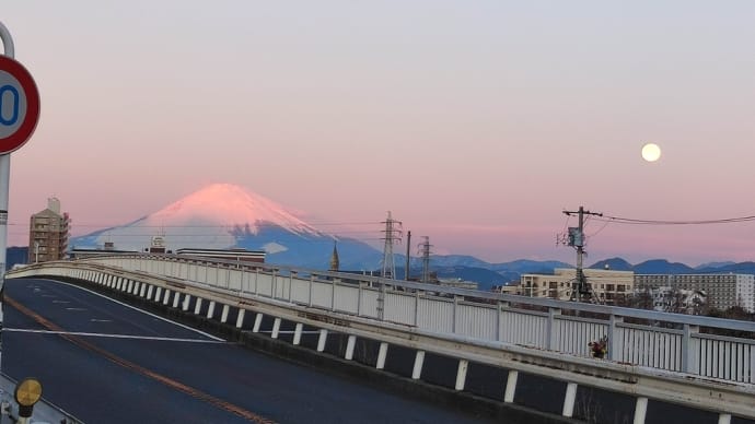 氷河期に備える