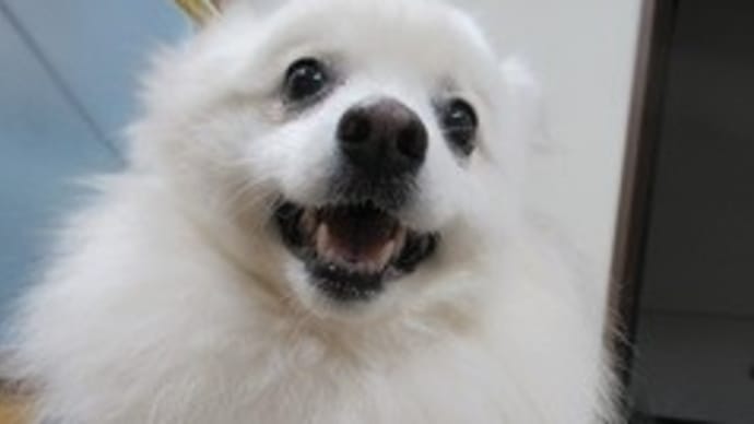 まとめて3日間のI LOVEウィートンだぜ~!!