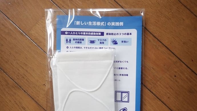 悲しいアベノマスク物語⁉