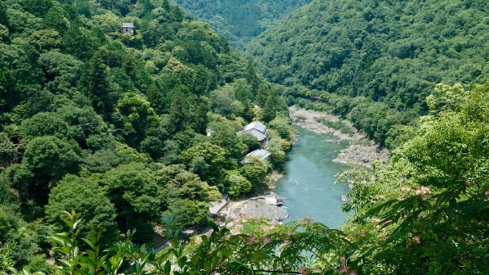 思い出の1枚（嵐山展望台からの眺め）