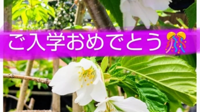 ワ~イ! 土曜日Aクラス(3月後半) ② だあ❗️