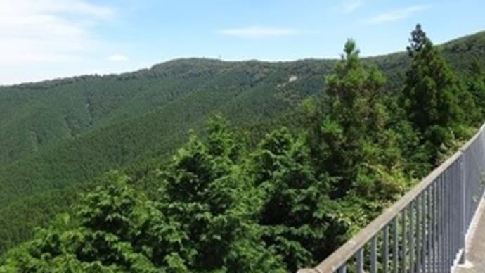 涼しかった最高峰