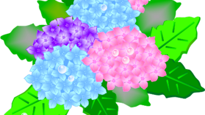 紫陽花には『雨』が似合う♪