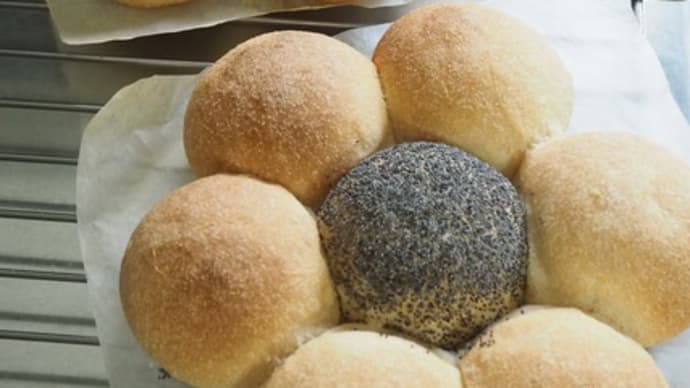 リクエストレッスン⑳初日!