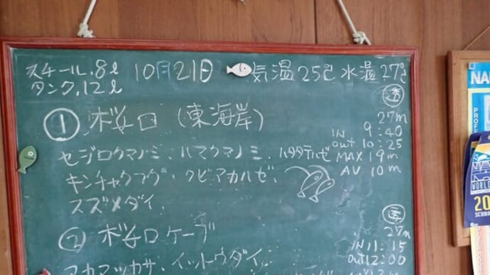 20231021ダイビングログ