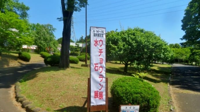 水石展(2024年)