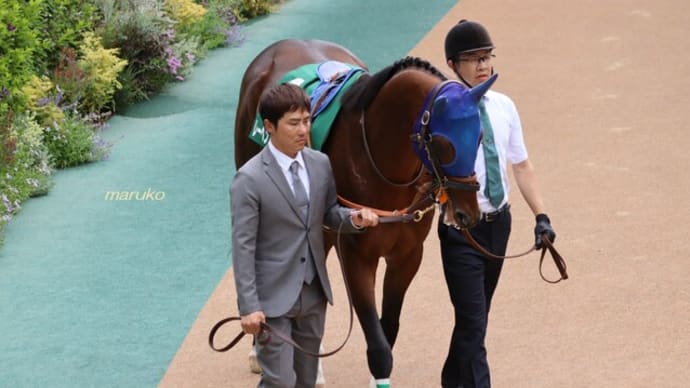 春競馬13