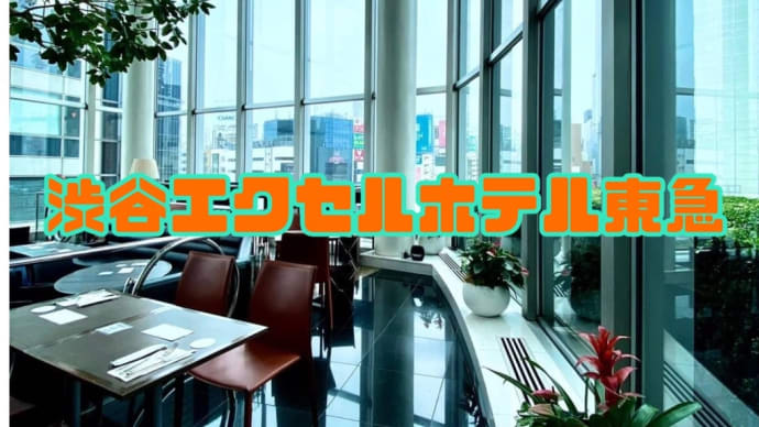 渋谷(エクセルホテル東急)宿泊