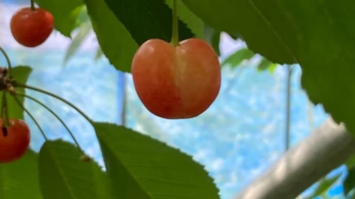 お久しぶりの更新。。。