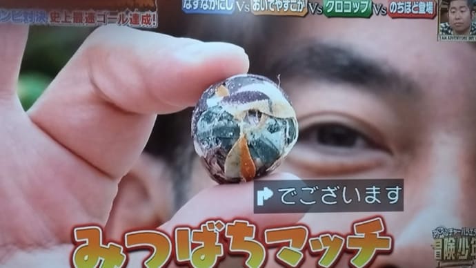 TVで紹介されました!