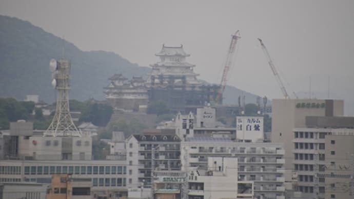 今日の姫路城 (2014.6.2)