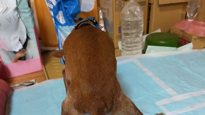 踏ん張りが・・・・