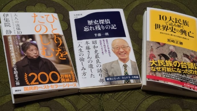 今、半藤一利、伊集院静、世界史関連の本を読んでいる