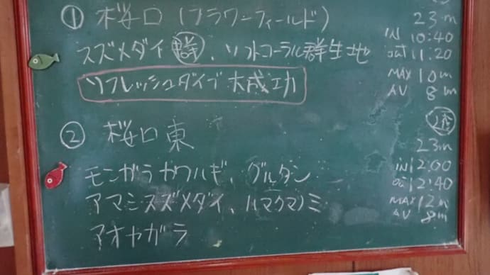 20240818ダイビングログ