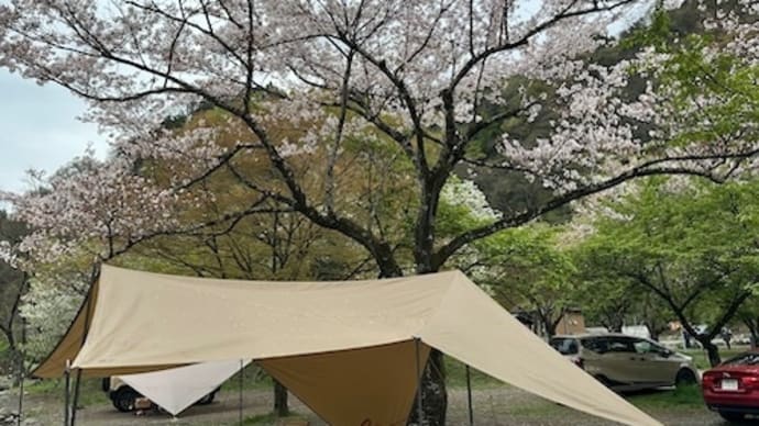 青野原オートキャンプ場(相模原)その8_2024.04(1)_20