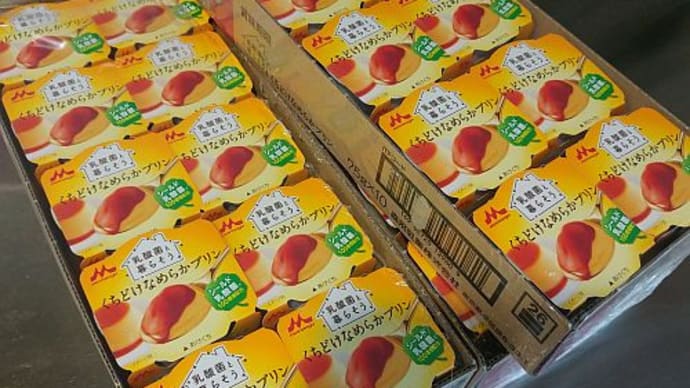 森永乳業 乳酸菌と暮らそう くちどけなめらかプリン