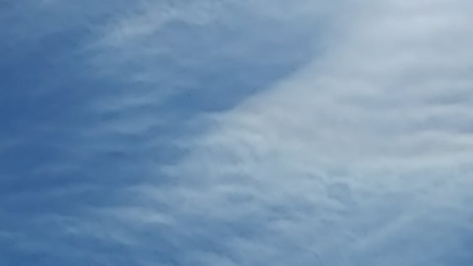 良い天気です