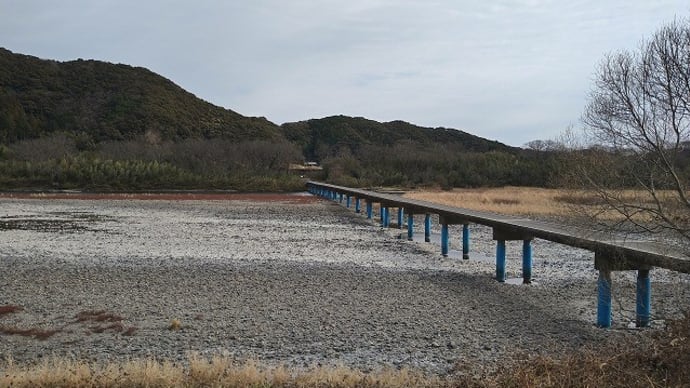 霧氷に出会えた