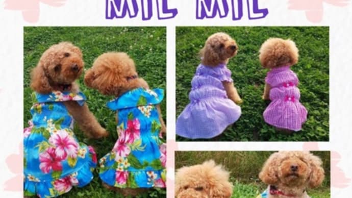オーダーのお客様からの素敵なお写真のご紹介 NO.15