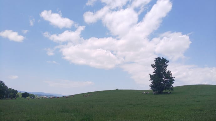北海道でミヤマクワガタ採集してきた