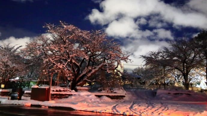 未明の雪景色