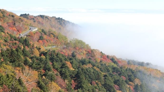 10/1(火)朝霧