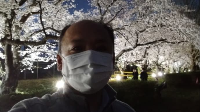 松戸駐屯地から夜桜中継🌃✨🌸✨