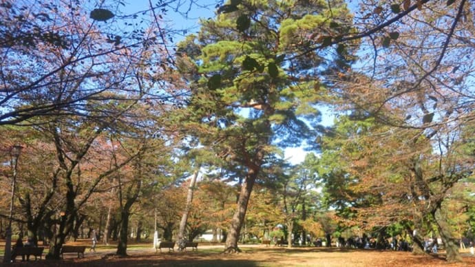 ぶら散策~大宮氷川神社