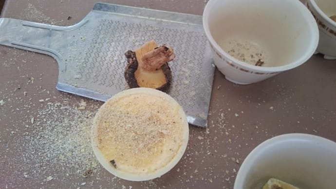 乾しいたけの粉+バニラアイスクリーム