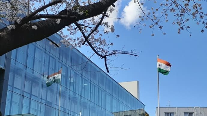 インド大使館から観る桜