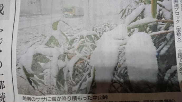 はれてるけど。。。