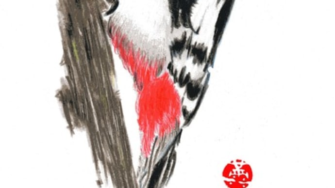 「色鉛筆画描きました-蝦夷赤啄木鳥-」について考える