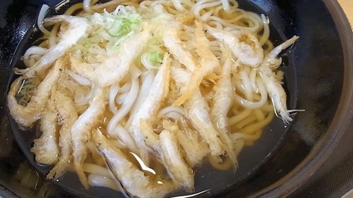 白エビうどん 海み屋