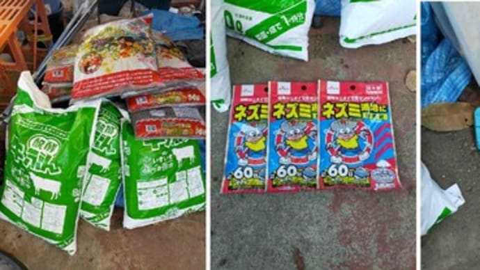 牛糞堆肥を特売で買ったけど