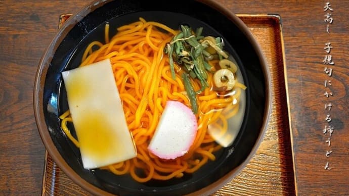 天高し子規句にかける柿うどん